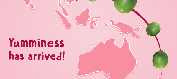 กีวีเบอร์รี มาจากไหน